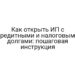 Как открыть ИП с кредитными и налоговыми долгами: пошаговая инструкция