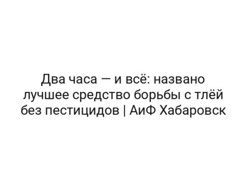 Два часа — и всё: названо лучшее средство борьбы с тлёй без пестицидов | АиФ Хабаровск
