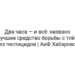 Два часа — и всё: названо лучшее средство борьбы с тлёй без пестицидов | АиФ Хабаровск