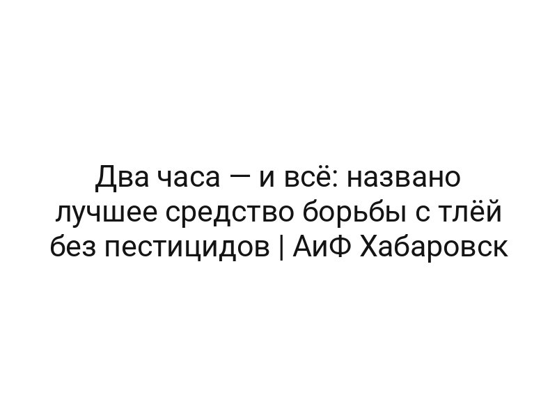 Два часа — и всё: названо лучшее средство борьбы с тлёй без пестицидов | АиФ Хабаровск
