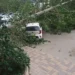 В Астрахани подсчитывают ущерб от урагана: погибший крановщик, десятки упавших деревьев и пыльная буря — PRO Астрахань