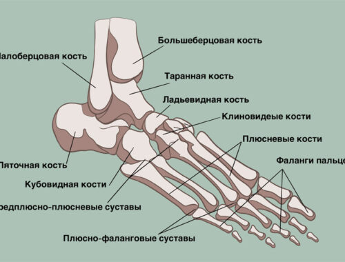 Боль в стопе: в ступне сбоку, сверху, в пятке. Причины и лечение