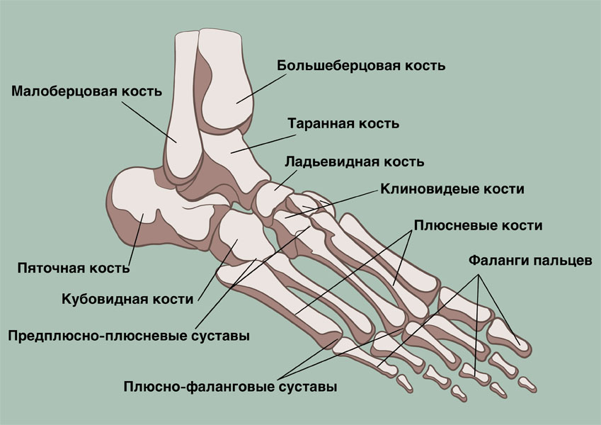 Боль в стопе: в ступне сбоку, сверху, в пятке. Причины и лечение