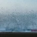 Запотевание окон со стороны улицы | Окна Роста